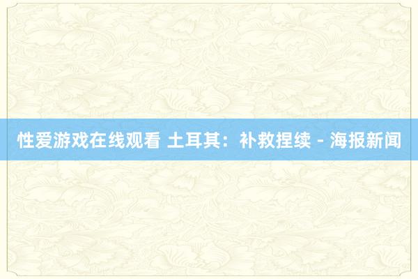 性爱游戏在线观看 土耳其：补救捏续 - 海报新闻