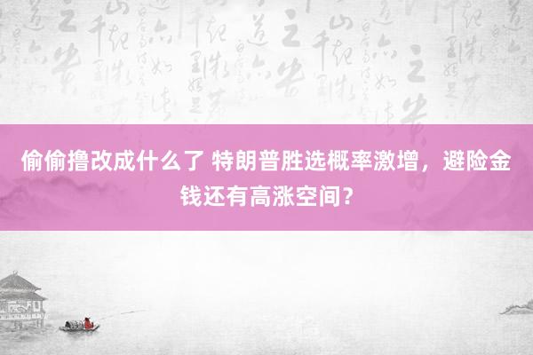 偷偷撸改成什么了 特朗普胜选概率激增，避险金钱还有高涨空间？