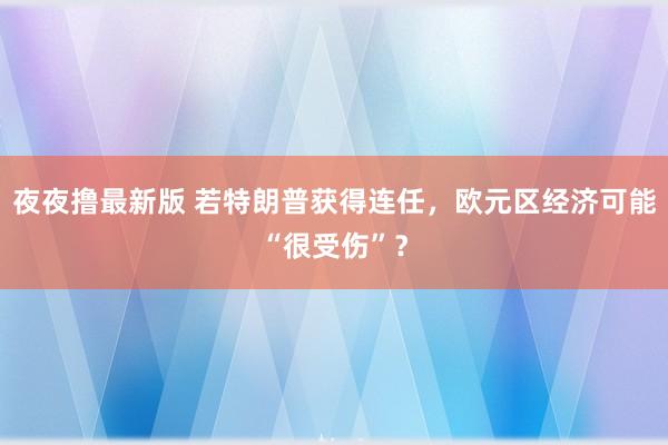 夜夜撸最新版 若特朗普获得连任，欧元区经济可能“很受伤”？