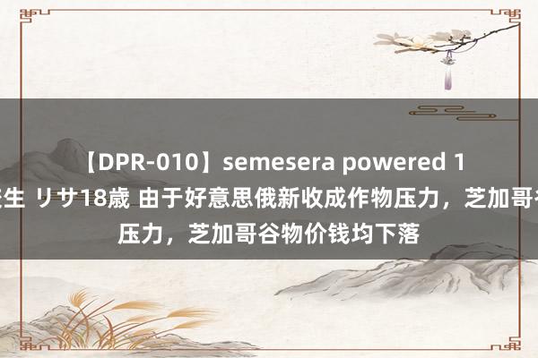 【DPR-010】semesera powered 10 ギャル女痴校生 リサ18歳 由于好意思俄新收成作物压力，芝加哥谷物价钱均下落