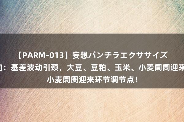 【PARM-013】妄想パンチラエクササイズ 海社交游风向：基差波动引颈，大豆、豆粕、玉米、小麦阛阓迎来环节调节点！