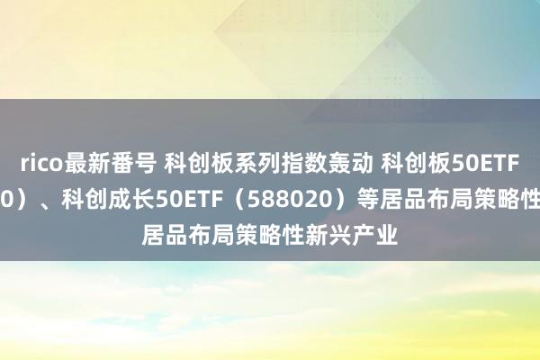 rico最新番号 科创板系列指数轰动 科创板50ETF（588080）、科创成长50ETF（588020）等居品布局策略性新兴产业