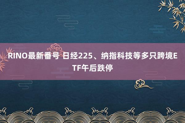 RINO最新番号 日经225、纳指科技等多只跨境ETF午后跌停