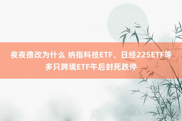 夜夜撸改为什么 纳指科技ETF、日经225ETF等多只跨境ETF午后封死跌停