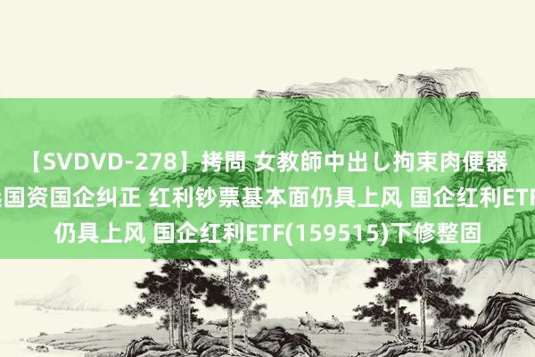 【SVDVD-278】拷問 女教師中出し拘束肉便器 仁科百華 RISA 深远国资国企纠正 红利钞票基本面仍具上风 国企红利ETF(159515)下修整固