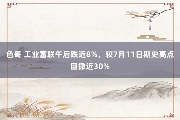 色哥 工业富联午后跌近8%，较7月11日期史高点回撤近30%