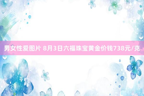 男女性爱图片 8月3日六福珠宝黄金价钱738元/克