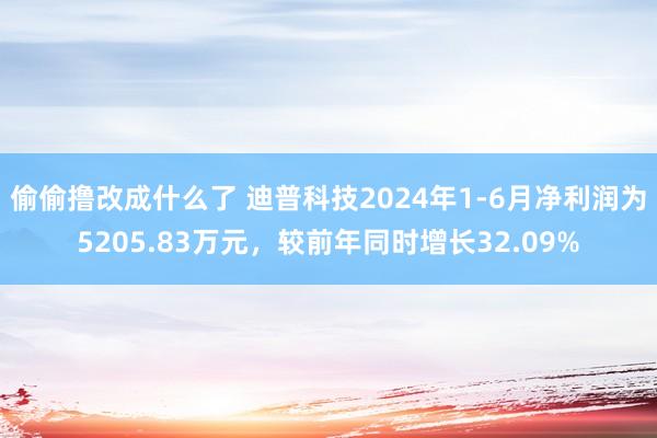 偷偷撸改成什么了 迪普科技2024年1-6月净利润为5205.83万元，较前年同时增长32.09%