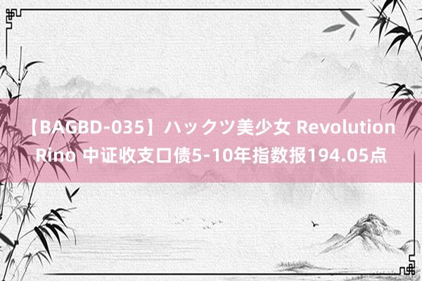 【BAGBD-035】ハックツ美少女 Revolution Rino 中证收支口债5-10年指数报194.05点