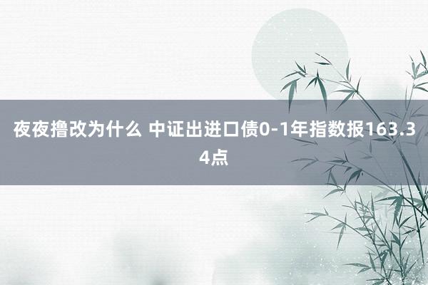 夜夜撸改为什么 中证出进口债0-1年指数报163.34点