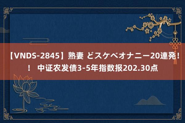 【VNDS-2845】熟妻 どスケベオナニー20連発！！ 中证农发债3-5年指数报202.30点