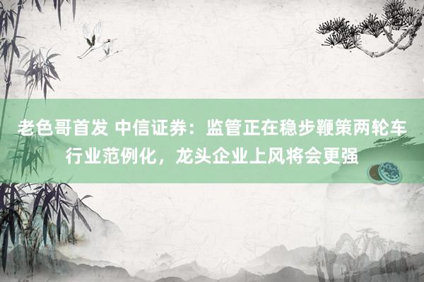 老色哥首发 中信证券：监管正在稳步鞭策两轮车行业范例化，龙头企业上风将会更强