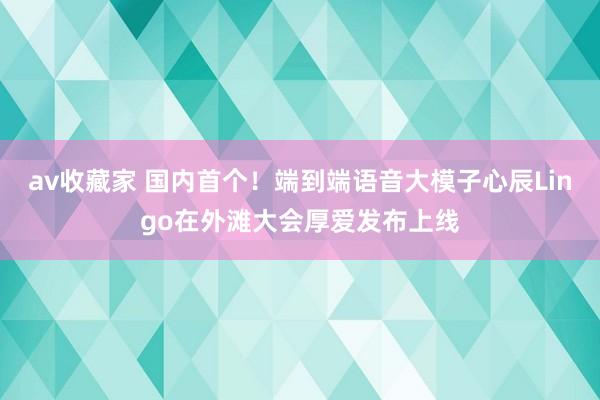 av收藏家 国内首个！端到端语音大模子心辰Lingo在外滩大会厚爱发布上线