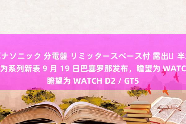 パナソニック 分電盤 リミッタースペース付 露出・半埋込両用形 华为系列新表 9 月 19 日巴塞罗那发布，瞻望为 WATCH D2 / GT5