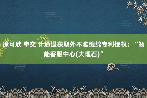 徐可欣 拳交 计通退获取外不雅缠绵专利授权：“智能客服中心(大理石)”