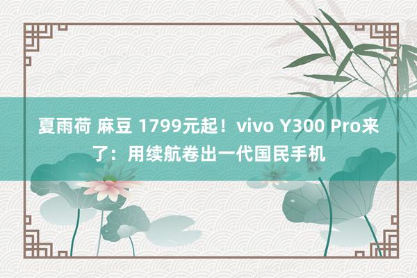 夏雨荷 麻豆 1799元起！vivo Y300 Pro来了：用续航卷出一代国民手机