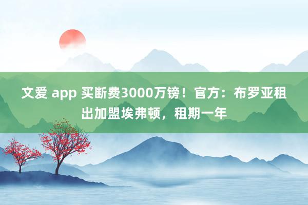 文爱 app 买断费3000万镑！官方：布罗亚租出加盟埃弗顿，租期一年