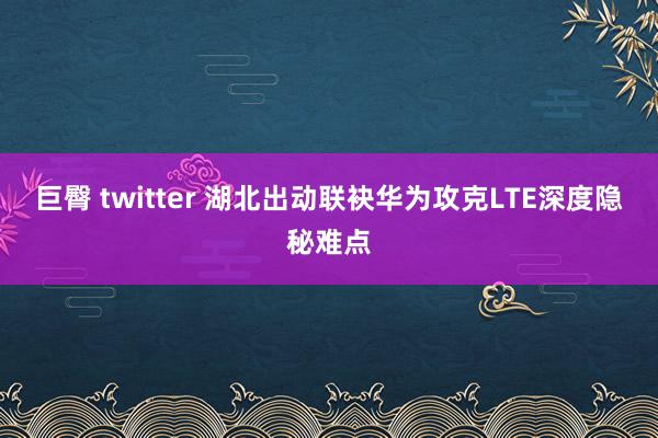 巨臀 twitter 湖北出动联袂华为攻克LTE深度隐秘难点