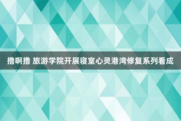 撸啊撸 旅游学院开展寝室心灵港湾修复系列看成