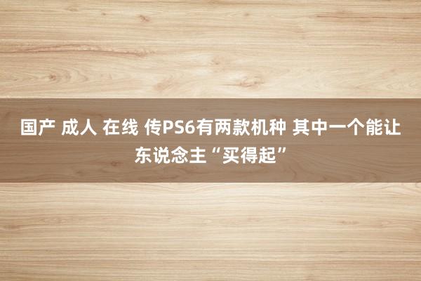 国产 成人 在线 传PS6有两款机种 其中一个能让东说念主“买得起”