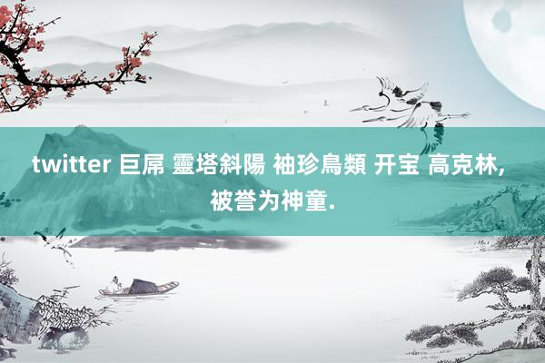 twitter 巨屌 靈塔斜陽 袖珍鳥類 开宝 高克林, 被誉为神童.