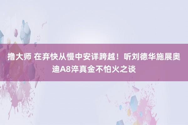 撸大师 在弃快从慢中安详跨越！听刘德华施展奥迪A8淬真金不怕火之谈